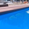 Counter-current swimming system