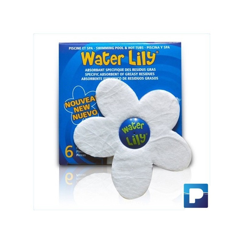 Water Lily Water Lily