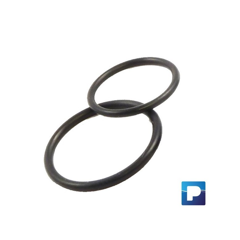 O-Ring-Set zu BABYPUR-Pumpe